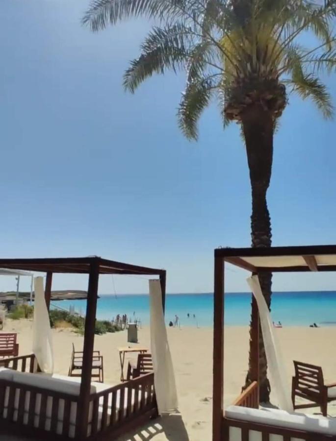 Nissi Golden Sands Sea View 2 Bedroom Apartment Ayia Napa Exterior foto
